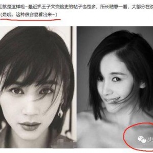 明星黑料最新,明星黑料曝光，真相背后引人深思